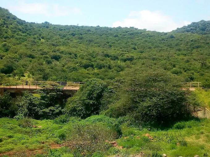 marsabit national park in kenya